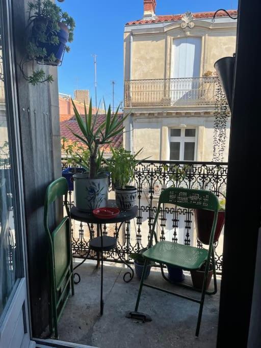 Le Montmorency 41 Authentique Et Cosy Centre Historique Proximite Parking Gratuit 塞特港 外观 照片